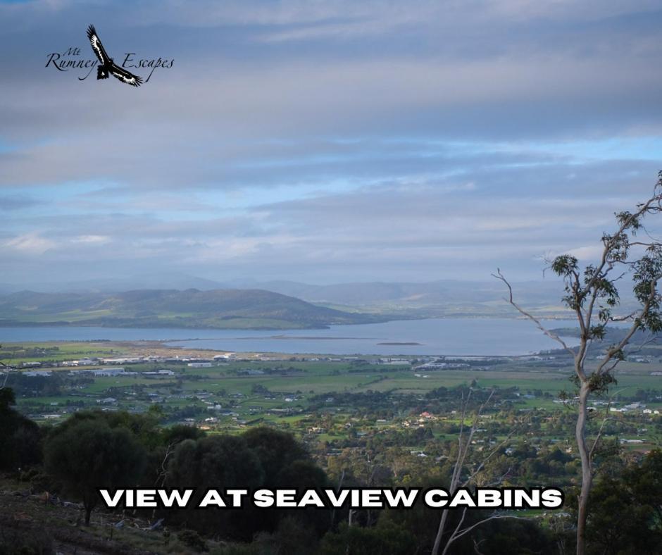 Mount Rumney Escapes - Platypus Cabin Bagian luar foto